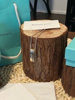 Tiffany & Co 1837. 925 Sterling Silver 1” oval pendant on 18” chain. Authentic!